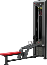 Atlantis Precision Low Row